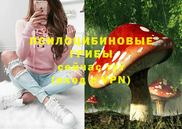 эйфоретик Кукмор