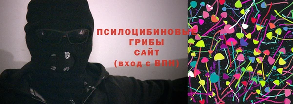 прущие грибы Ладушкин