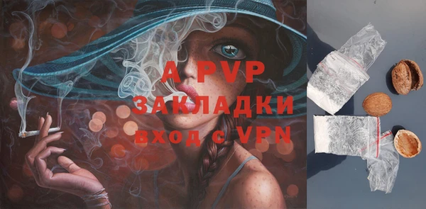 дурь Лабытнанги